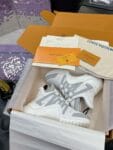 Louis Vuitton Archlight Grey