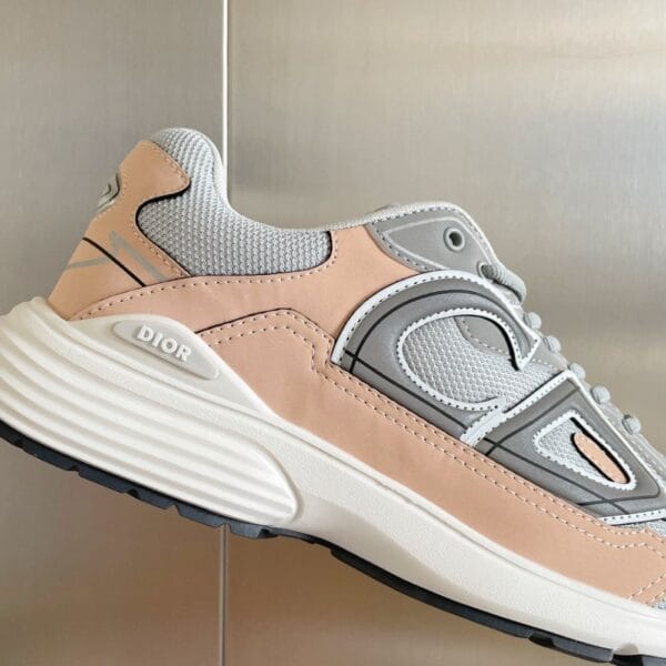 Dior Dad Shoes B30 Gray Pink Blue