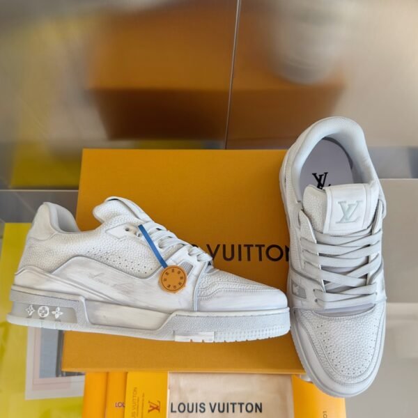 Louis Vuitton Trainer Gray Washing
