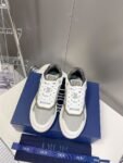 Dior B27 Low Grey and White