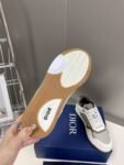 Dior B27 Low Grey and White