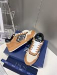 Dior  B27 Low Brown and Original
