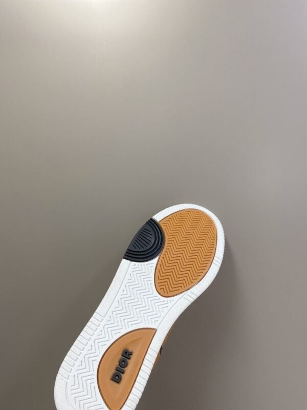 Dior  B27 Low Brown and Original