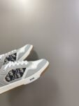 Dior  B27 Low Grey and Original