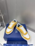 Dior  B27 Low  Yellow