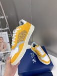 Dior  B27 Low  Yellow