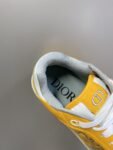 Dior  B27 Low  Yellow