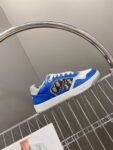 Dior  B27 Low  Blue