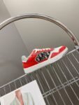 Dior  B27 Low  Red and Original