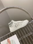 Dior  B27 High  Grey
