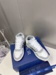 Dior B57 Grey and White