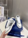 Dior B57 Grey and White