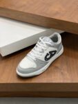 Dior B57 Grey