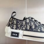 Dior  B23 Low Color