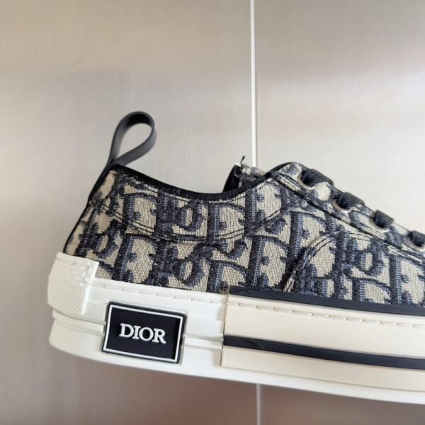 Dior  B23 Low Color