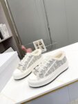 Dior Walk'n  Winter Grey