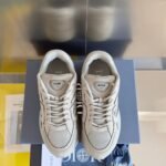 Dior Stone Island  Light Grey