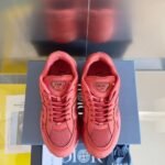 Dior Stone Island  Red