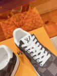 Louis Vuitton Men Brown