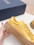 Dior B33  Yellow Brown
