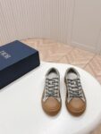 Dior B33  Light Grey Brown