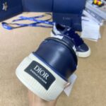 Dior B33  Deep Blue Flower
