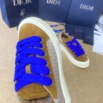 Dior B33 Olive Blue Grey
