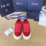 Dior B33 Red