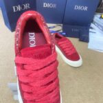 Dior B33 Red