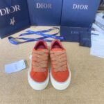 Dior B33 Red Grey