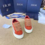 Dior B33 Red Grey