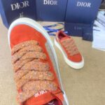 Dior B33 Red Grey