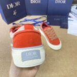 Dior B33 Red Grey
