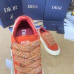 Dior B33 Red Grey