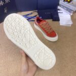 Dior B33 Red Grey