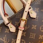 Louis Vuitton Bag SPEEDY M61251