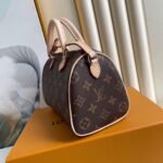 Louis Vuitton Bag SPEEDY M61251