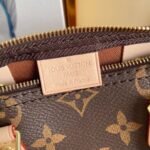 Louis Vuitton Bag SPEEDY M61251