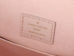 Louis Vuitton Bag Backup M47074
