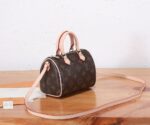 Louis Vuitton Bag Nano Speedy M61252