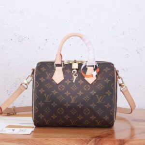 Louis Vuitton Bag  Speedy M41113