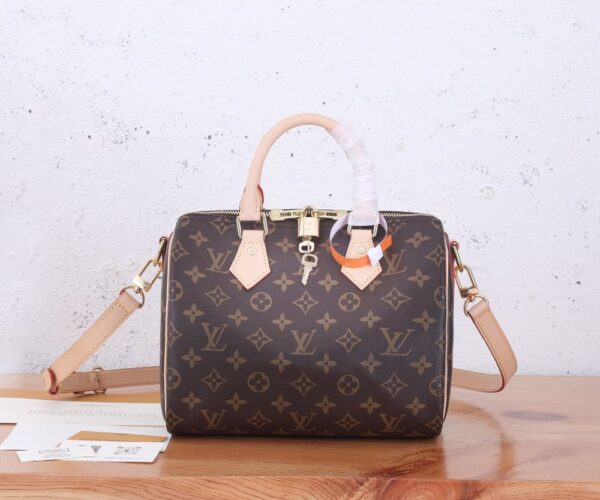 Louis Vuitton Bag  Speedy M41113