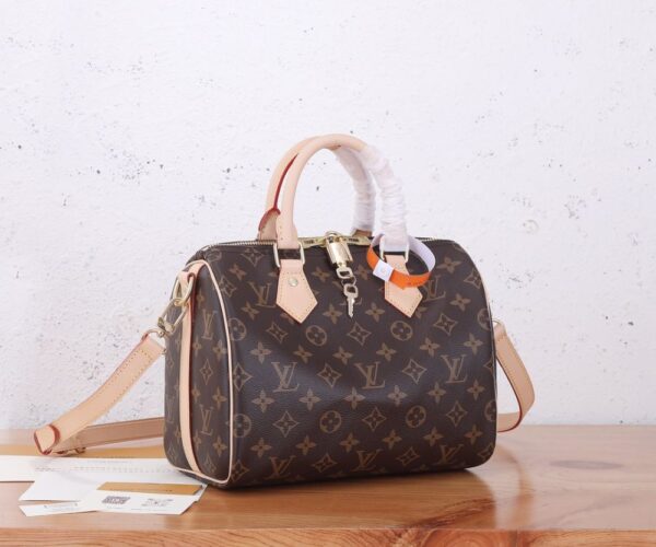 Louis Vuitton Bag  Speedy M41113
