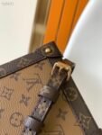 Louis Vuitton Bag Trunk Vertical M63913