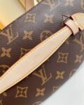Louis Vuitton Bag Bumbag M43644