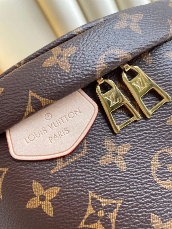 Louis Vuitton Bag Bumbag M43644