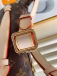 Louis Vuitton Bag Bumbag M43644