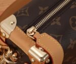 Louis Vuitton Bag Side Trunk Pm M46358