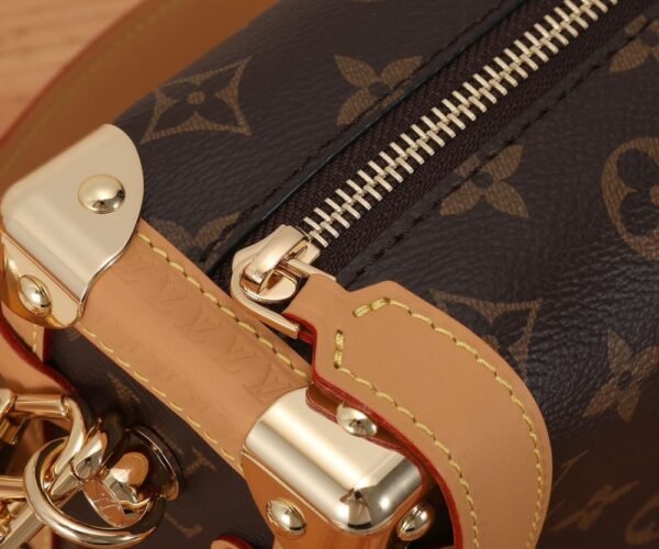 Louis Vuitton Bag Side Trunk Pm M46358