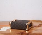 Louis Vuitton Bag Side Trunk Pm M46358